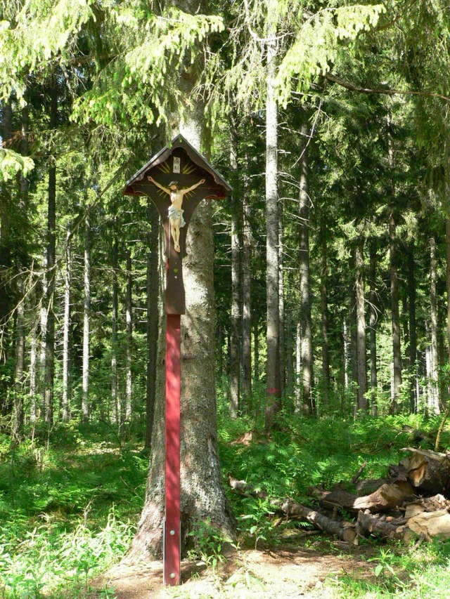 rotes kreuzes des schwarzwaldvereins n...uhof hat transportiert und aufgestellt  | Foto: klaus behrens