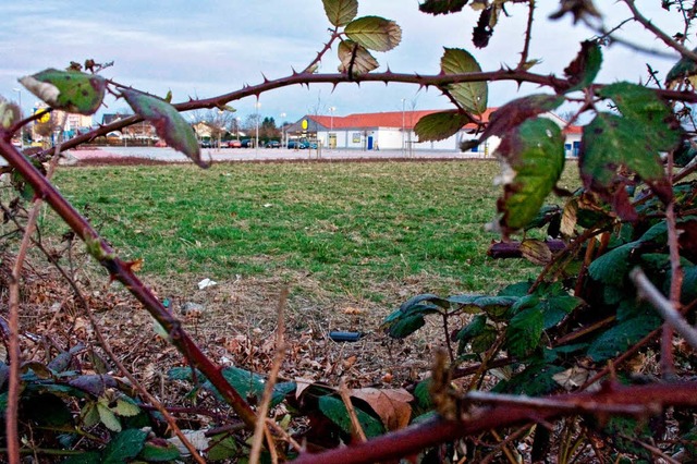 Dornenreich: Die von Lidl durchgesetzten Mrkte  haben viele Auswirkungen.   | Foto: Martin Wendel