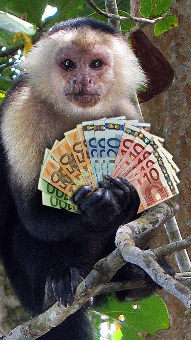 Knnen auch schlecht mit Geld umgehen: Kapuzineraffen   | Foto: dpa/bz