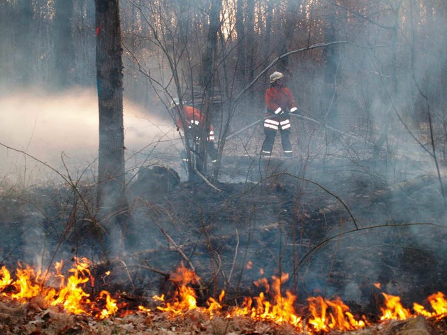 Brand in der Teninger Allmend  | Foto: Aribert Rssel