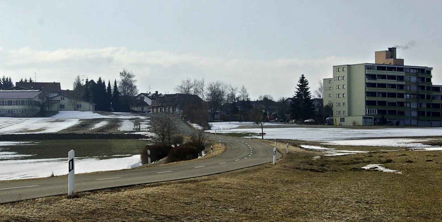 Die B�rgerinitiative „Pro Leben ...shausen mit allen Mitteln verhindern.   | Foto: Martin Wunderle