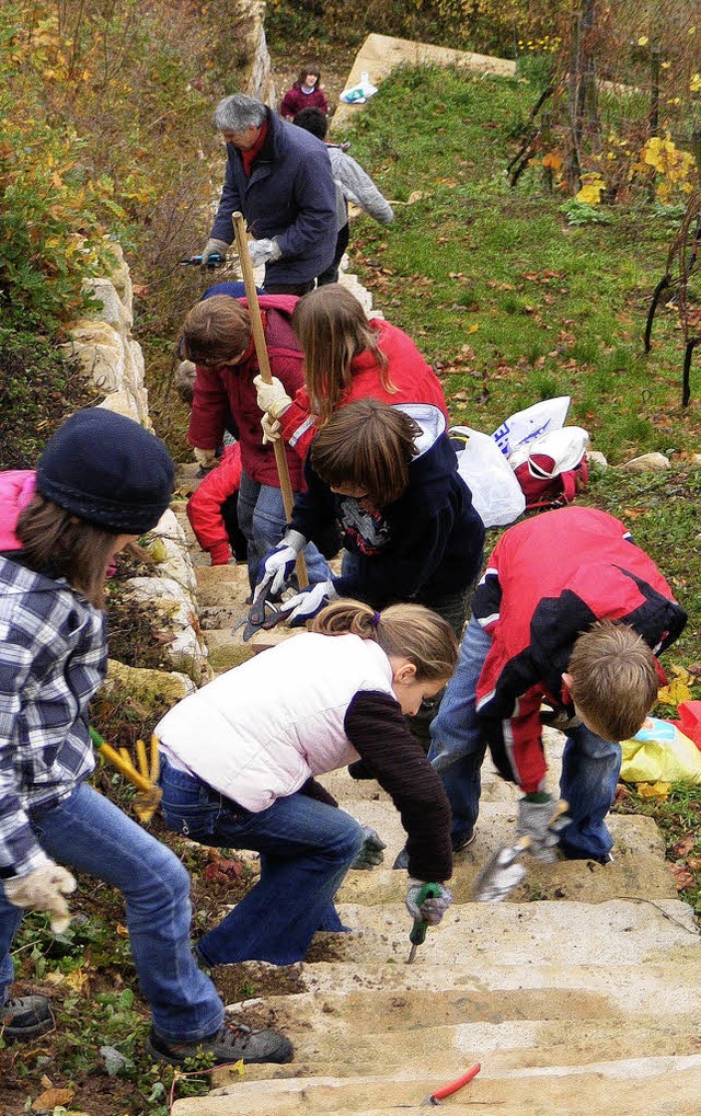 Die vierte Klasse der Sonnenbergschule...ttingen  bei der Arbeit am Castellberg  | Foto: Privat