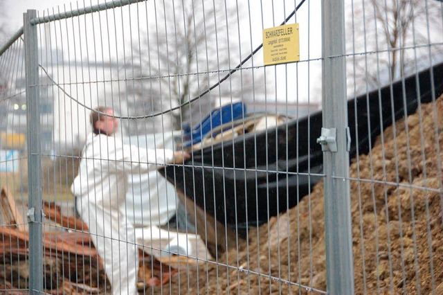 Mitarbeiter zieht auf Hirschacker eine...olie ber unbelastetes Aushubmaterial.  | Foto: Ralf H. Dorweiler