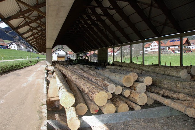 Wo frher Holz lagerte, knnte bald ein Bioenergiehof entstehen   | Foto: BZ