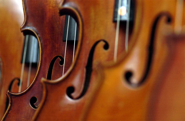 Die Liebe zur Musik und zu den Musikin... Musikschule Jugendlichen vermitteln.   | Foto: ddp
