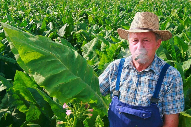Alex Kopf, der Vorsitzende  des Landes...s Tabakpflanzer, macht den Bauern Mut.  | Foto: dpa