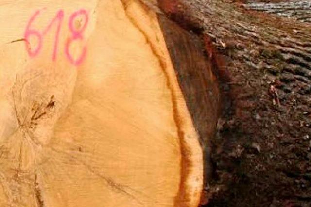 Der Holzmarkt beginnt zu kriseln