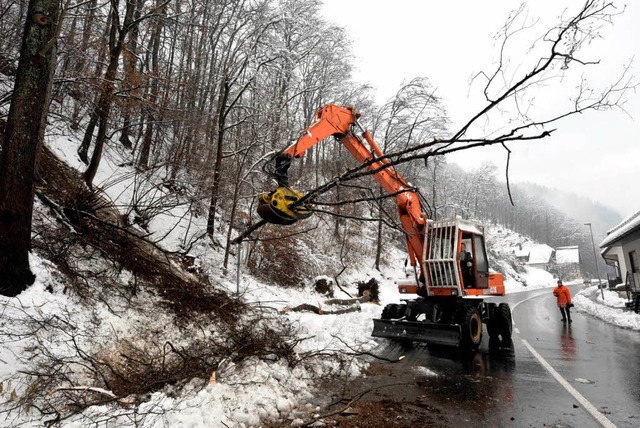 Ein Bagger rumt am 7. Mrz 2009 bei O...inen umgestrzten Baum von der Strae.  | Foto: dpa