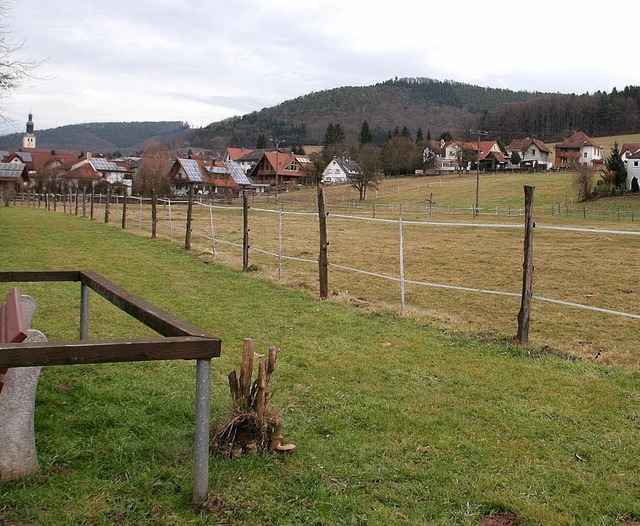 Hier sollen im nchsten Jahr Huser st...uungsgebiet Dautenstein  in Seelbach.   | Foto: Archiv:  Heidi Fssel