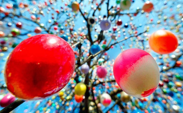 Viele Menschen schmcken in der Osterzeit die Bume mit bemalten Eiern.  | Foto: Jens-Ulrich Koch