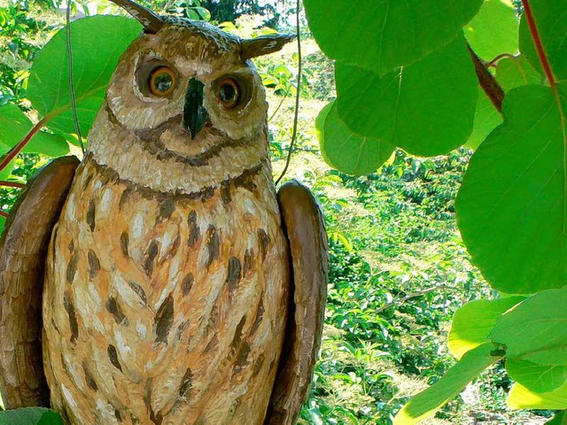 Ob die Saatkrhen den Bluff schlucken?...in der Breisacher Stadtmitte abhalten.  | Foto: Willi Hennig