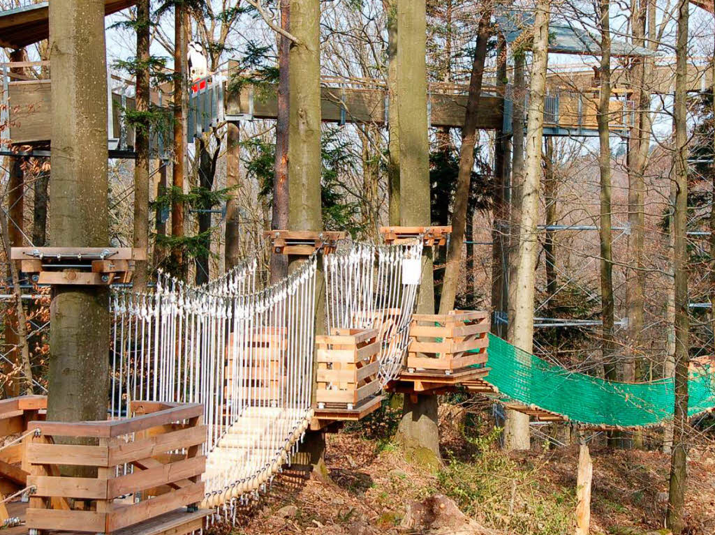 Teil des 200 Meter langen Abenteuerpfades, hinten der Baumkronenweg