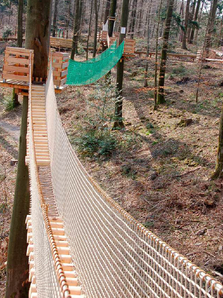 Teil des Abenteuerpfades vorn und hinten der Baumkronenweg