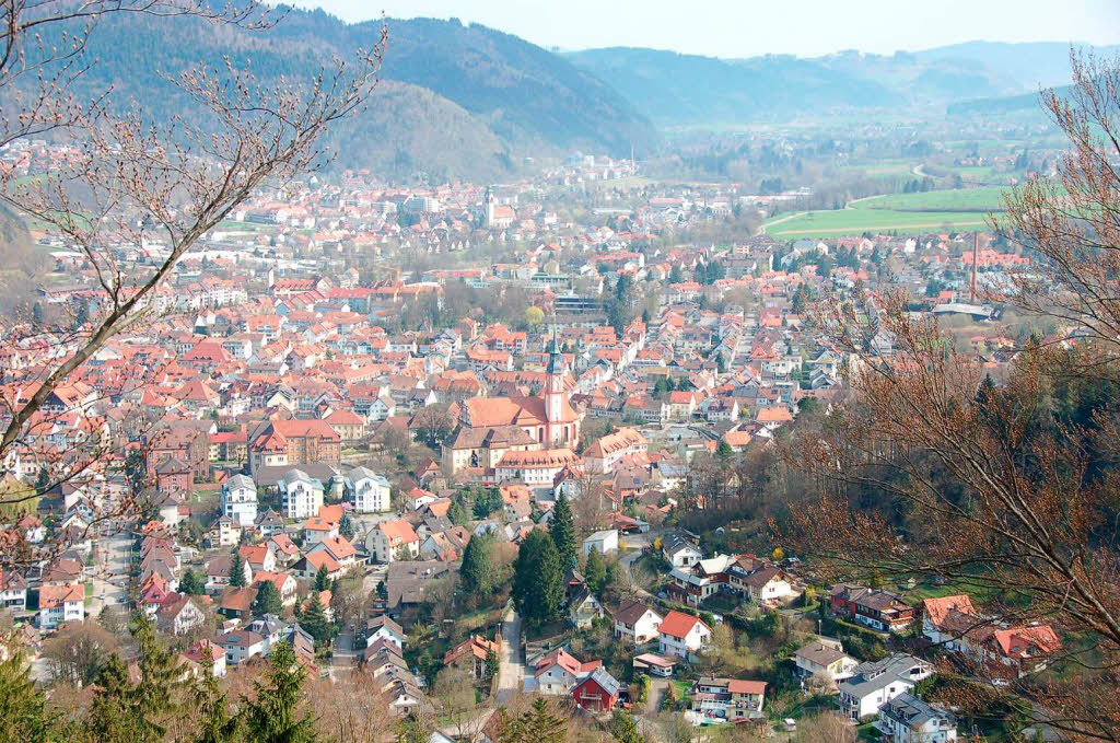 Waldkirch von oben