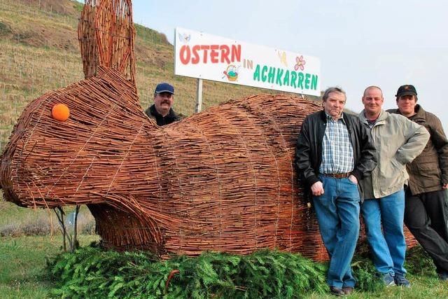 Riesenhase verschnert Kreisel