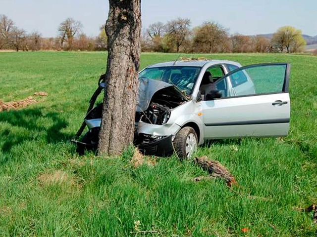 Fahrtende an diesem Baum  | Foto: Polizei