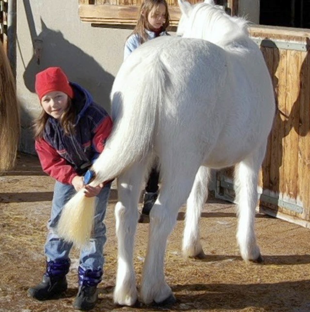 Liebevolle Pflege brauchen Pferde auch im Winter.   | Foto: Ulrike Jger