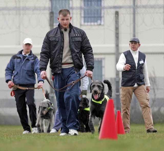 Das klappt nicht nur im Kino: Strafgef...radoodle-Brdern Ben, Paco und Wotan.   | Foto: ddp