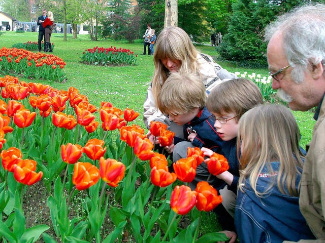 Gro und Klein erfreuen sich an den Tulpen im Stadtpark.  | Foto: Heidi Foessel