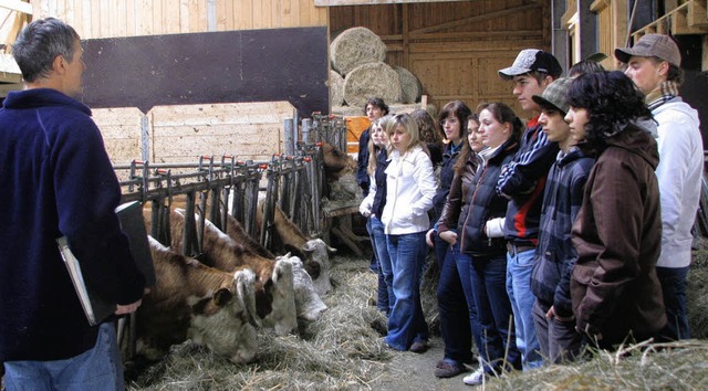 Gymnasiasten besuchten den Biohof Mhl in Prg.   | Foto: Kristin Fritz