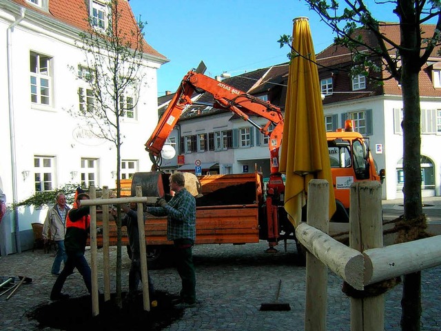 Die neu gepflanzten Bume halten die A...t vom Parken auf dem Goethe-Platz ab.   | Foto: Walser