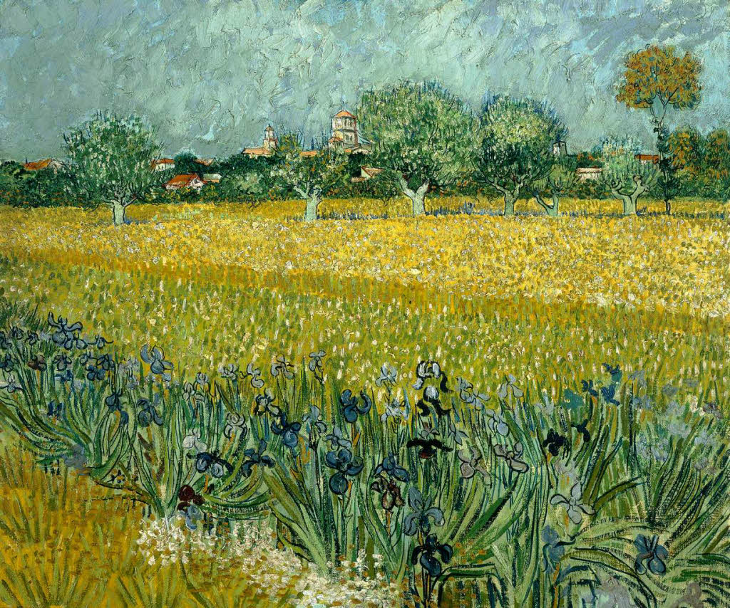 Blick auf Arles mit Iris im Vordergrund Mai 1888