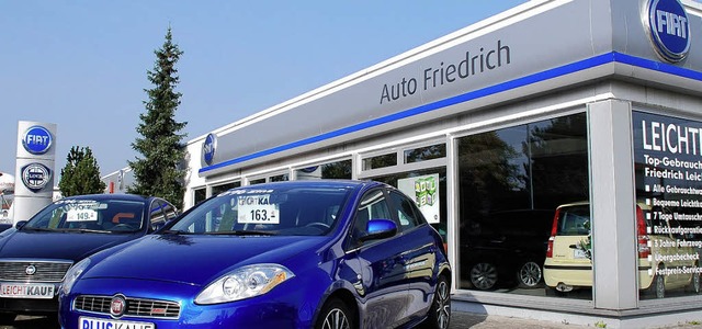 Fr Hybridfahrzeuge macht man sich im Autohaus Friedrich stark.  | Foto: Maja Tolsdorf