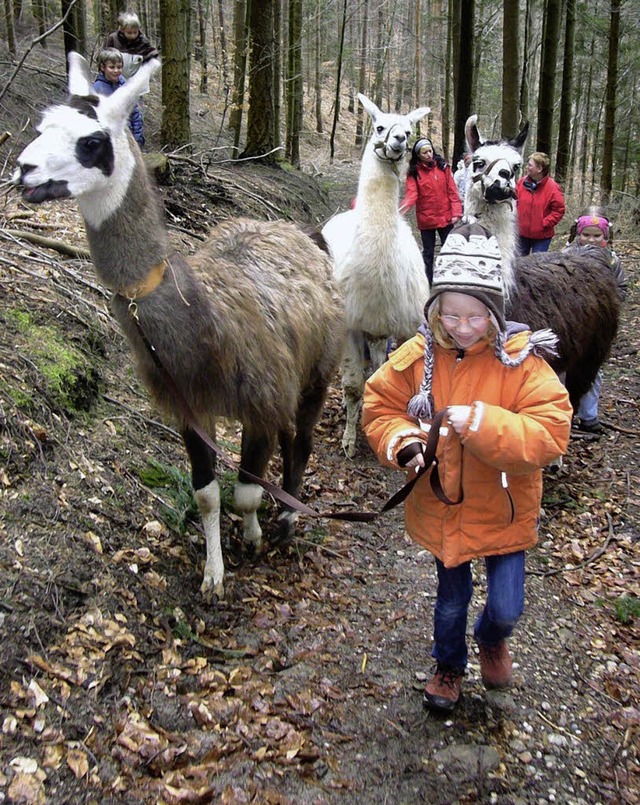Da werden Kinder und Lamas dicke Freunde.   | Foto: monika Korak