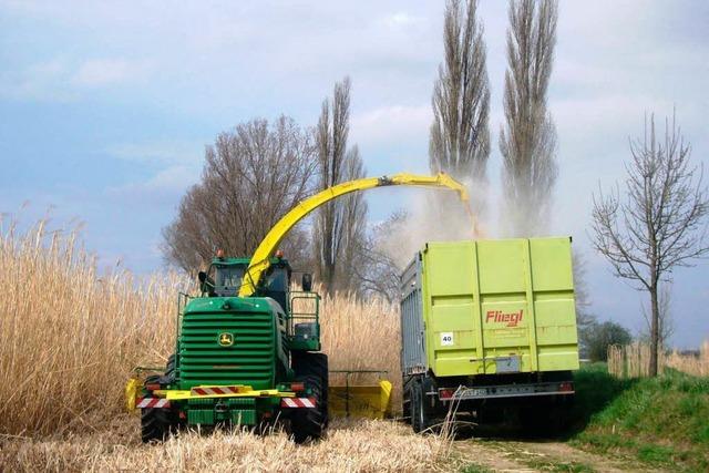 Müllheim: Bauern liefern Brennstoff vom Acker