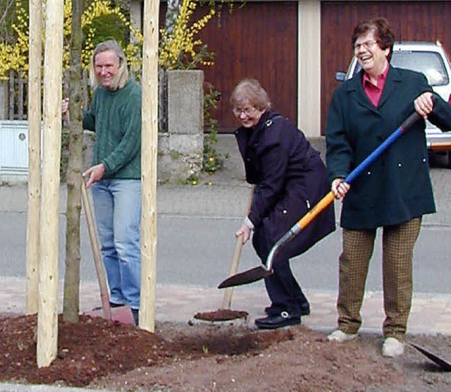 Die Stadtrtinnen Elisabeth Battke, An... einer italienischen Erle  (von links)  | Foto: Burkert