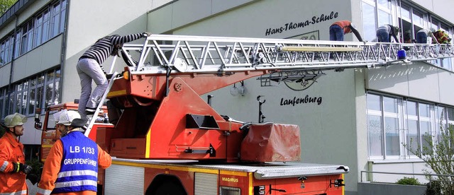 Die Brandbung Montagmorgen in der Han...er Feuerwehr Laufenburg gerettet.       | Foto: Melanie Dramac