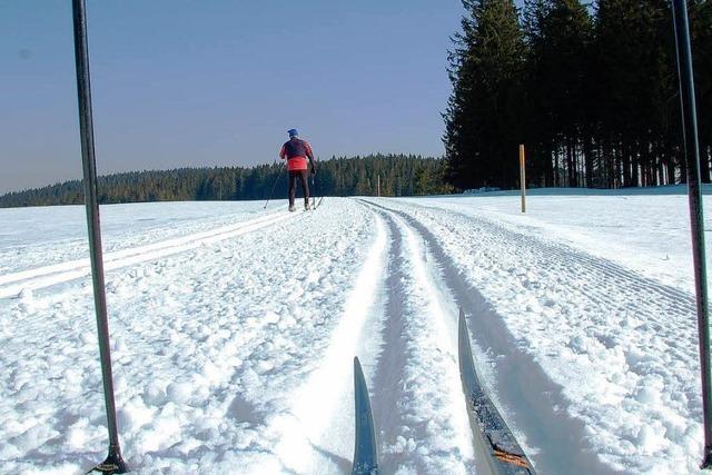 Fr die Langlufer ein Superwinter