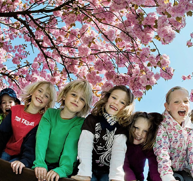 Um ihr Wohl wird gezankt: Kinder unterm Kirschbaum   | Foto: dpa