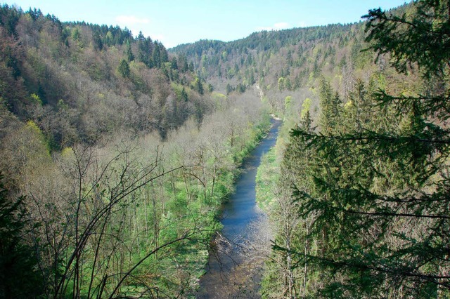 Natur pur lsst sich bei einer Wanderung durch die Wutachschlucht erleben.  | Foto: Juliane Khnemund