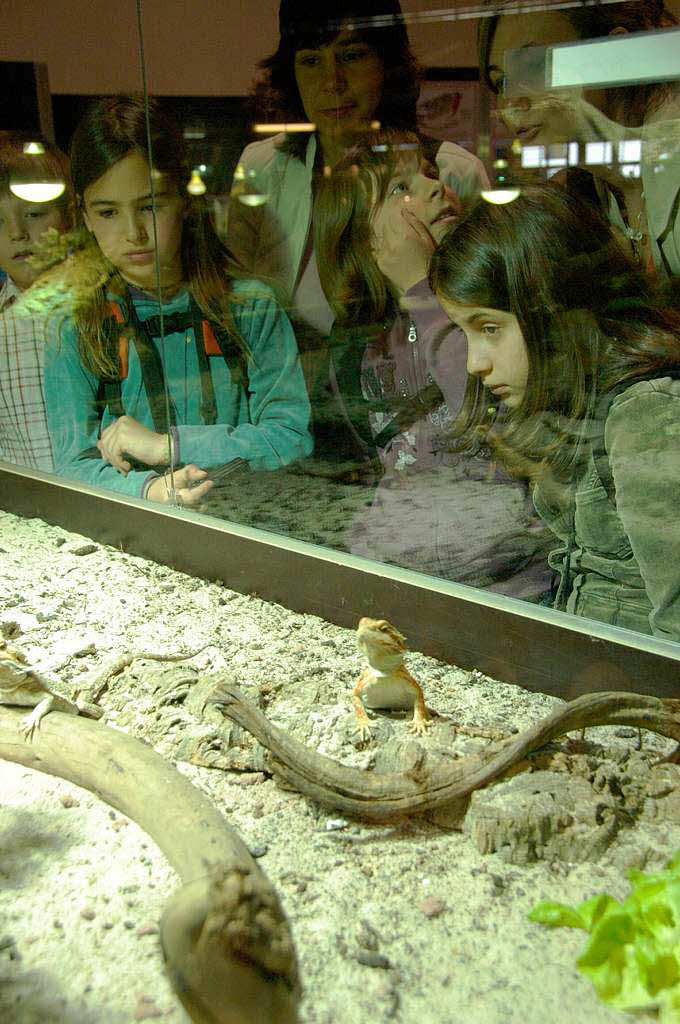 Die Klasse 4a der Schnbergschule Freiburg bei der Reptilienausstellung Vivarium