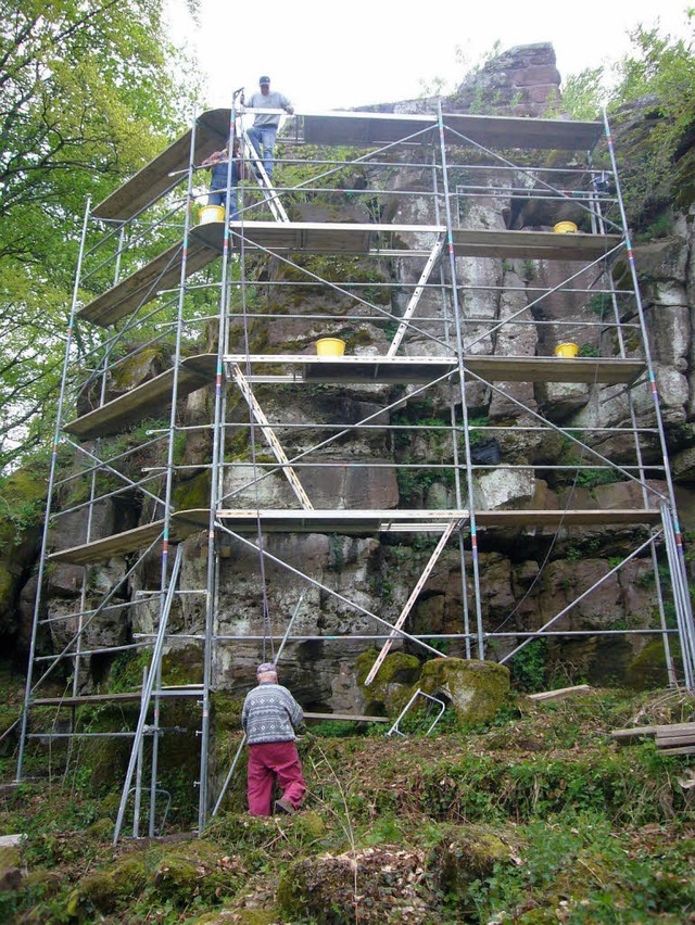 Drei Wochen dauern die Arbeiten an der Burgruine Ltzelhard.   | Foto: korak