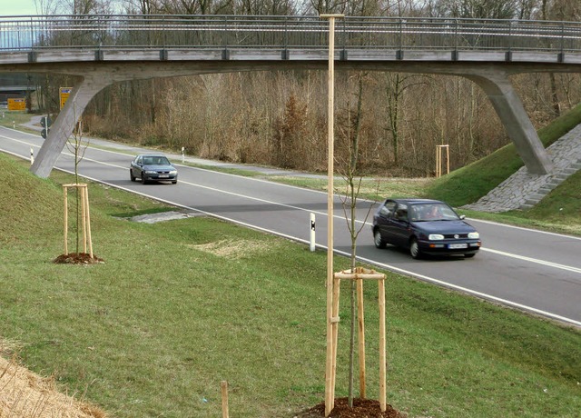 Die Ansitzwarten fr Greifvgel und Eu...rlichen Beutesuche auf der Fahrbahn.    | Foto: andreas braun