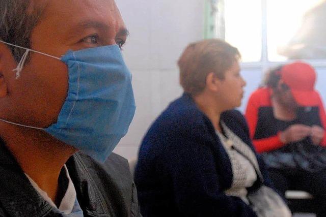 Mehr als 60 Mexikaner an Grippe gestorben
