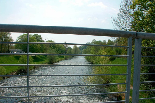 Die Wiese in Lrrach: Stadtlandschaft oder naturnaher Fluss?  | Foto: Nikolaus trenz