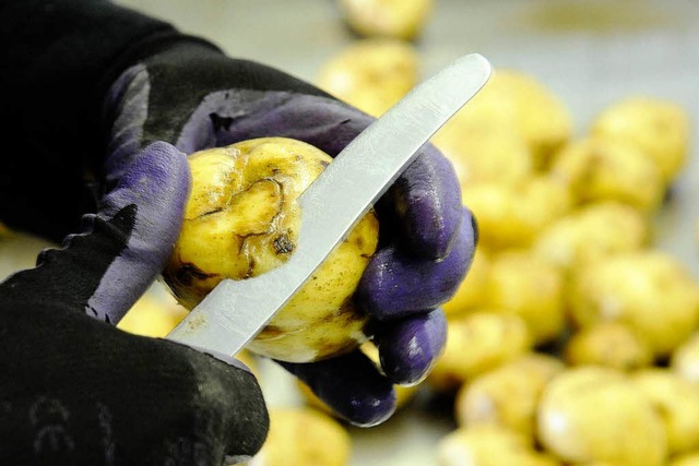 Diese Kartoffeln sind nicht genmanipul...kommen aber Konkurrenz- durch Amflora.  | Foto: ddp