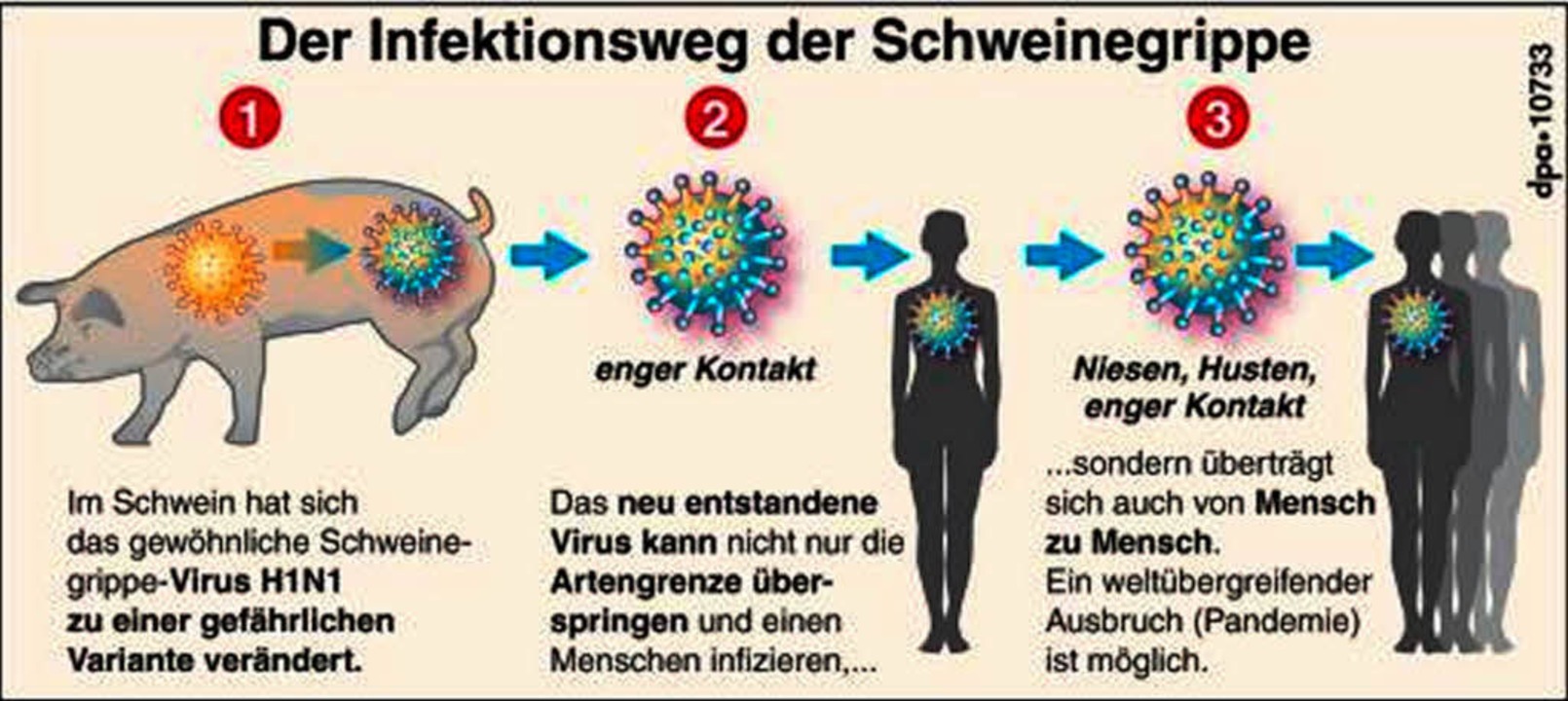 In Deutschland grassiert die Angst vor der Schweinegrippe - Panorama ...