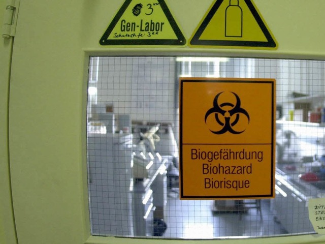 Derzeit kann nur das Robert-Koch-Institut die Schweinegrippe nachweisen.  | Foto: ddp