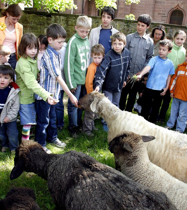   | Foto: Heidi Foessel