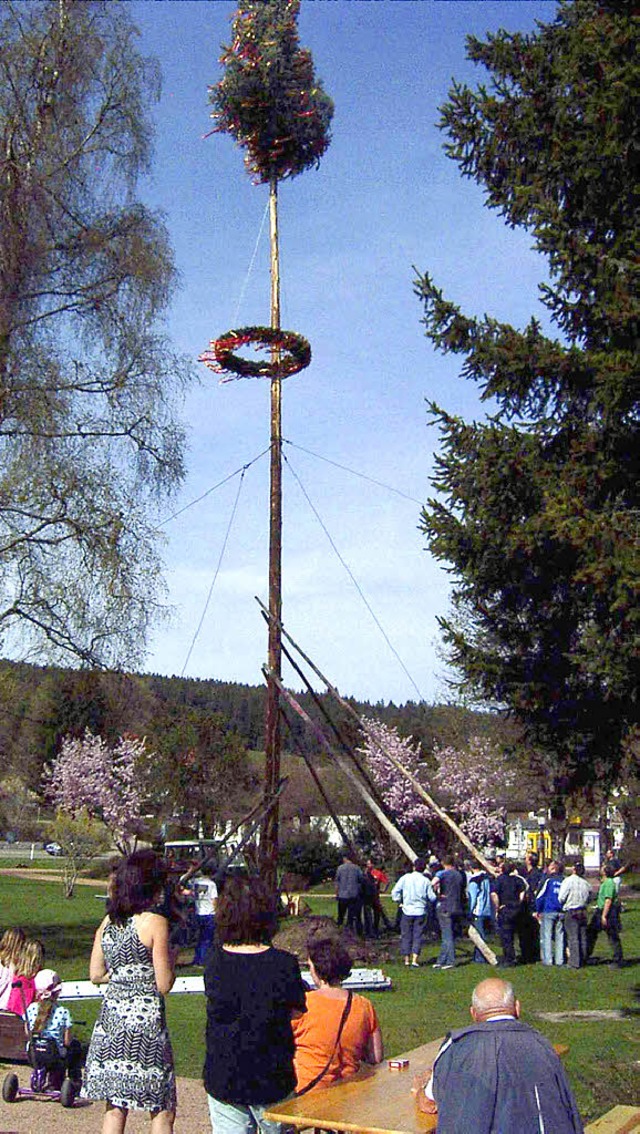 Der Maibaum im Kurgarten von Husern  wurde bereits am Samstag gestellt.   | Foto: Siegfried krex