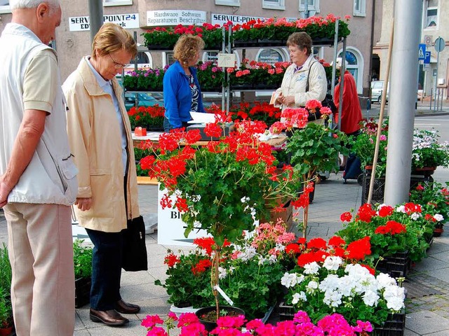 Geranienmarkt auf dem Oberrheinplatz  | Foto: Danielle Hirschberger