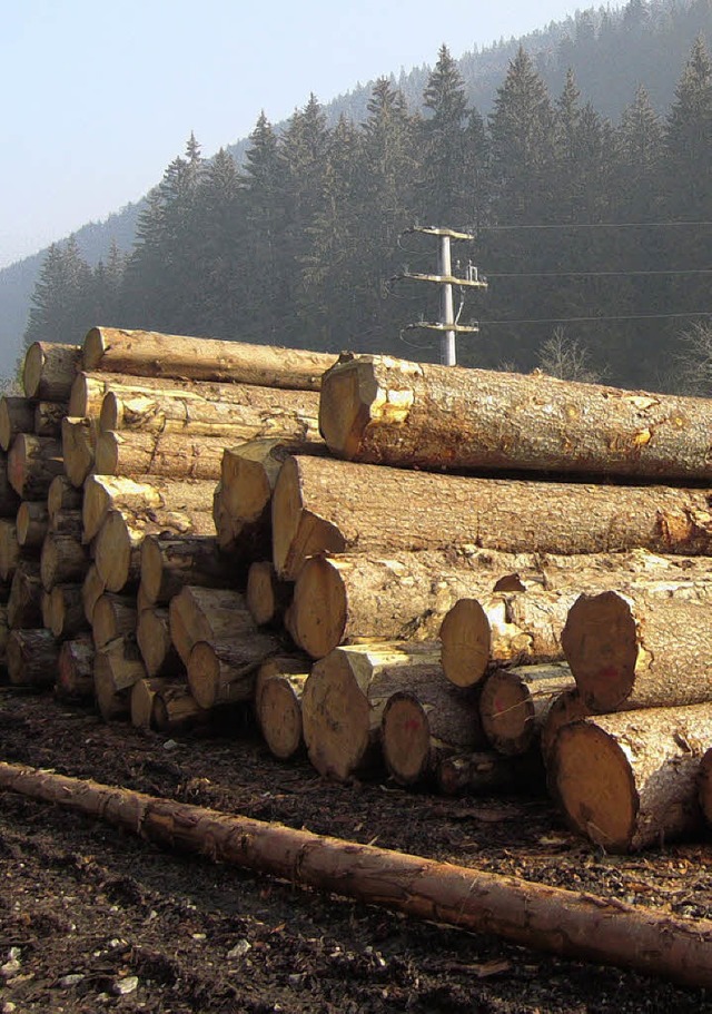 5500 Festmeter Holz wurden 2008 im Bernauer Gemeinde- und Privatwald geerntet.   | Foto: Archivfoto: sub