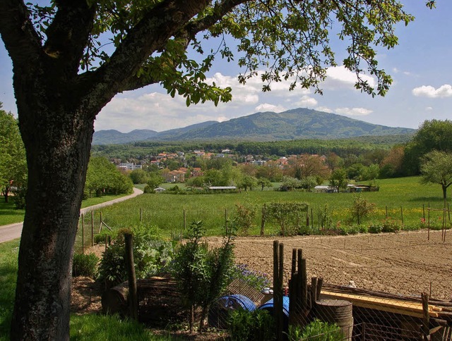 Reizvolle Landschaft mit Blick auf den Blauen: der Riedboden   | Foto: Babeck-Reinsch