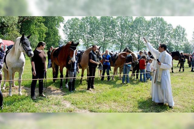 Buntes Spektakel in den Rheinauen