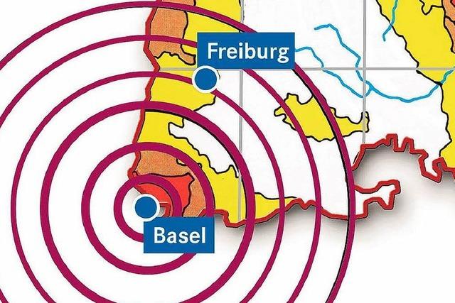 Das groe Basler Erdbeben von 1356