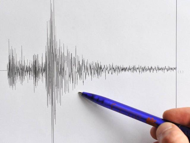 Das Seismogramm des Erdbebens.  | Foto: dpa